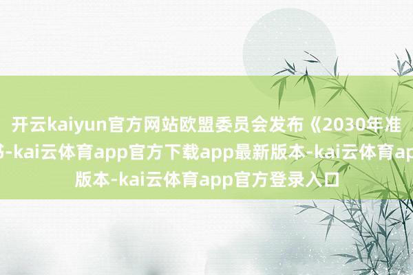 开云kaiyun官方网站欧盟委员会发布《2030年准备就绪》白皮书-kai云体育app官方下载app最新版本-kai云体育app官方登录入口