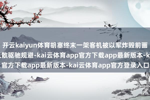 开云kaiyun体育胡塞终末一架客机被以军炸毁前画面：乘客从逃生滑梯疏散驱驰规避-kai云体育app官方下载app最新版本-kai云体育app官方登录入口