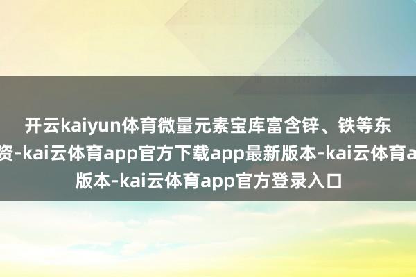 开云kaiyun体育　　微量元素宝库　　富含锌、铁等东谈主体必需矿物资-kai云体育app官方下载app最新版本-kai云体育app官方登录入口